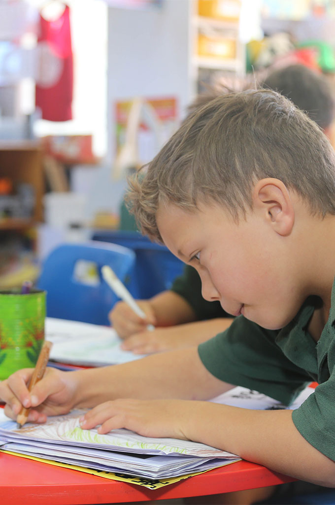 Primary year student at Whangamata Area School in New Zealand.
